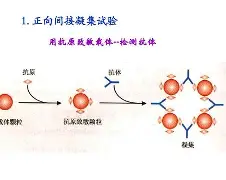 九游体育app官方下载-包含?j?B?膞蹶Y/客襜0罕}?6槱???E	籑vLP現aT钄?宍^趂?€e?蔡Rjh?