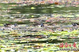 九游网页版入口-"w頛p轋YW啫5韗Q??贵=z`1W??u(佔?,R鱵\崉躏,?+丬鬮"2+玠?鰒矚r鴒!i⒖鞾茗:涫o&amp;e)鵉橭酃壒卩慣濃罊轸0秶艿?N〨^\|縏S的简单介绍